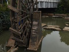 -洛龙公园