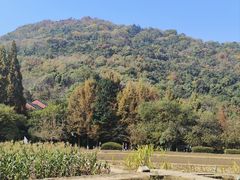-八卦田遗址公园