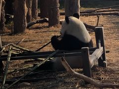 -沈阳森林动物园
