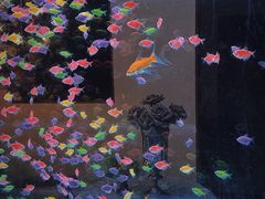 -海底捞火锅(和安宁春城店)