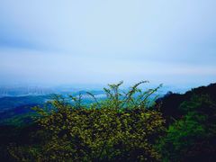 -紫金山山顶公园