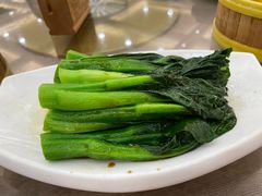 高汤灼菜心-聚彩居三和酒楼•老字号粤菜(南城店)