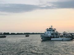-大湾区中央湿地公园-十九涌