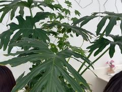 -大树餐厅(红旗街万达店)