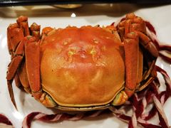 -广州中心皇冠假日酒店-环市食坊·海鲜自助餐厅