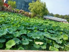 -南戴河国际娱乐中心