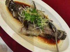 -顺峰(农展馆店)