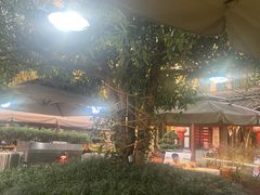 -高坎一品甲鱼庄(两河店)