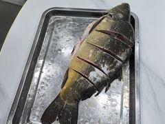 -老渔翁笨锅炖(迎宾路总店)