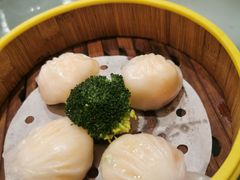 -湛江民大喜来登酒店-采悦轩中餐厅