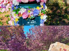 -沈阳植物园