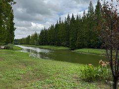 -黄海国家森林公园