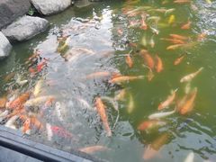 -珠海圆明新园