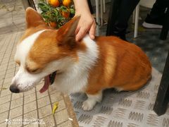 -小梁哥云吞面(黄贝岭店)