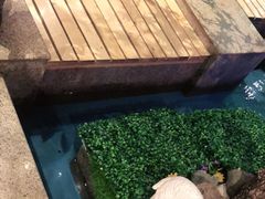 -河坝烧烤串城(金达莱店)