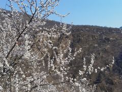 -灵溪风景区