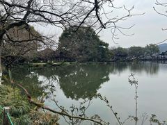 -家烧面馆【南山路知名经典面食】