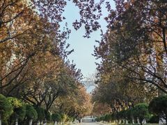 -山东师范大学(千佛山校区)