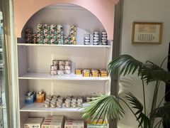 -青奢宠物·青奢猫舍