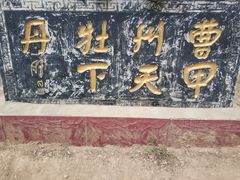 -曹州牡丹园