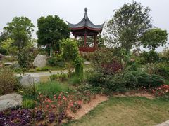 -东莞植物园