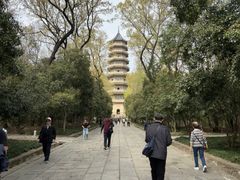 -灵谷景区