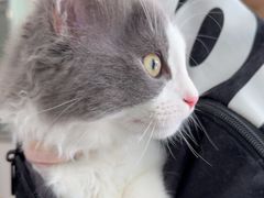 -佳雯宠物医院·皮肤科·内外科(春晓路分院)