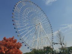 -南昌之星摩天轮