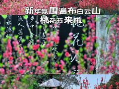 -桃花涧