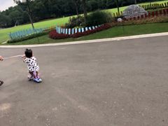 -青枫公园