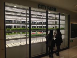 -安利上海体验馆