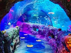 -沈阳海洋探索中心