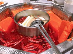 -蜀九香火锅(九眼桥店)