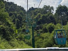-野象谷景区