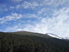-黄龙山原始森林景区