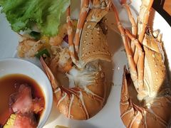 -Tivano意大利餐厅(成都居舍酒店)