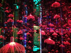 -杭州西湖星空魔幻城(星空艺术馆品牌旗舰店)