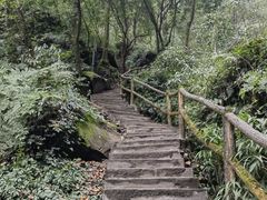 -碧峰峡风景区