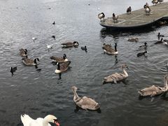 -海德公园