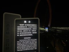 -南京眼步行桥