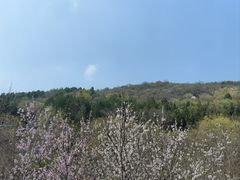 -白水寺森林公园