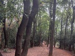 -岳麓山风景名胜区