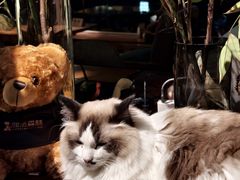 -咖法森林·咖啡  酒吧(天河店)