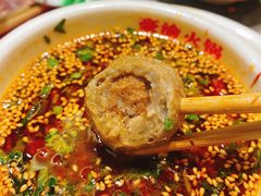 -豪渝火锅(宜昌水悦城店)