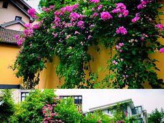 -颐和路民国时期公馆-风貌区