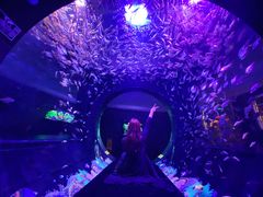 -成都浩海立方海洋公园