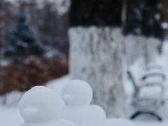 -长春市南湖公园