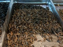 -昆虫窝子·特色云南菜(拓东路总店)