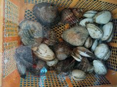 -百丰园海鲜烧烤农家菜(威·至海港湾店)