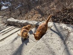-北京凤凰岭
